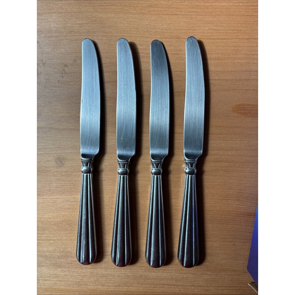 Oneida Stainless Steel UNITY Dinner Knives Set of 4